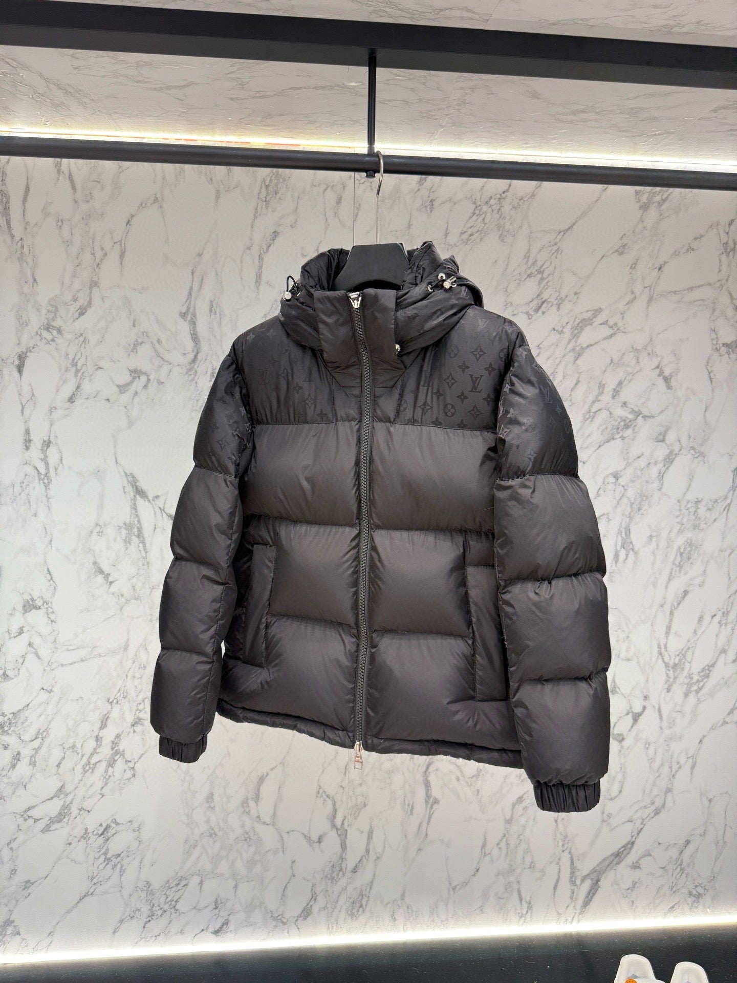 LV Placed Monogram Ecodown Blouson